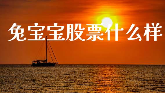兔宝宝股票什么样_https://wap.jnlaobingbanjia.com_证券公告_第1张