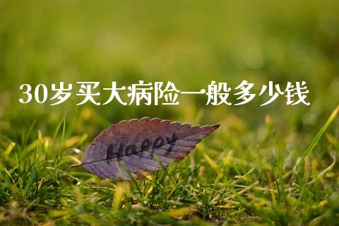 30岁买大病险一般多少钱_https://wap.jnlaobingbanjia.com_财务管理_第1张