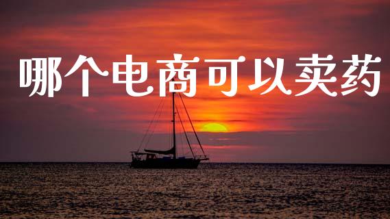 哪个电商可以卖药_https://wap.jnlaobingbanjia.com_证券公告_第1张