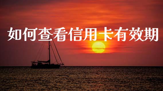 如何查看信用卡有效期_https://wap.jnlaobingbanjia.com_基金分析_第1张