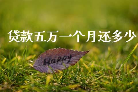 贷款五万一个月还多少_https://wap.jnlaobingbanjia.com_基金分析_第1张