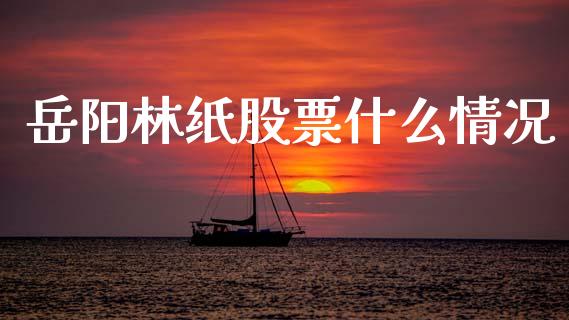 岳阳林纸股票什么情况_https://wap.jnlaobingbanjia.com_证券公告_第1张