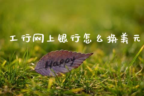 工行网上银行怎么换美元_https://wap.jnlaobingbanjia.com_证券公告_第1张