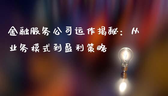 金融服务公司运作揭秘：从业务模式到盈利策略_https://wap.jnlaobingbanjia.com_财务管理_第1张