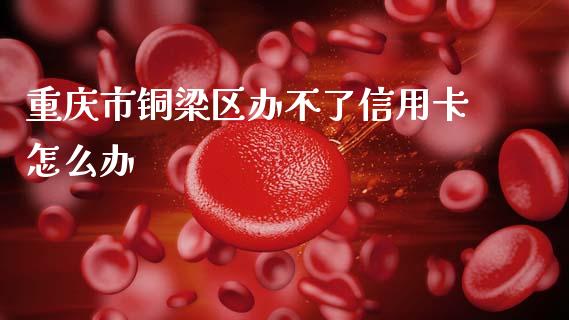 重庆市铜梁区办不了信用卡怎么办_https://wap.jnlaobingbanjia.com_金融理财_第1张