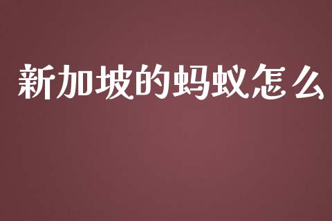 新加坡的蚂蚁怎么_https://wap.jnlaobingbanjia.com_金融理财_第1张