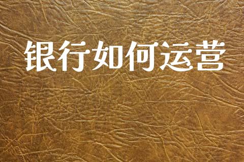 银行如何运营_https://wap.jnlaobingbanjia.com_基金分析_第1张