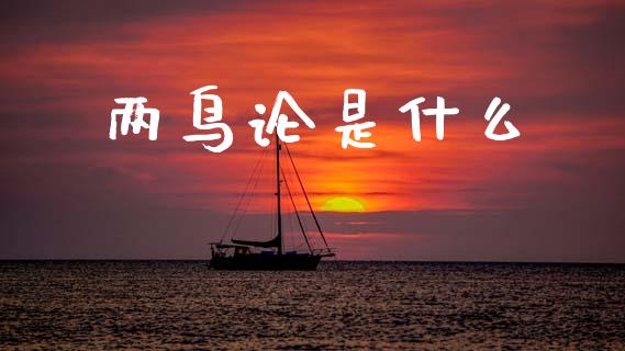 两鸟论是什么_https://wap.jnlaobingbanjia.com_财经资讯_第1张