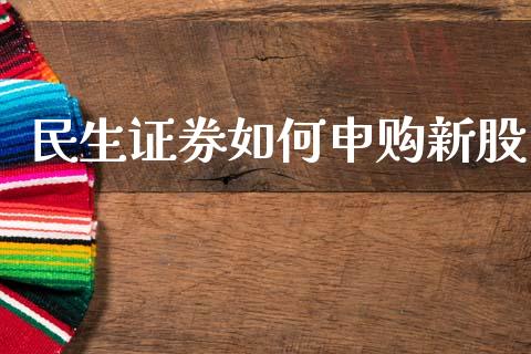 民生证券如何申购新股_https://wap.jnlaobingbanjia.com_财务管理_第1张