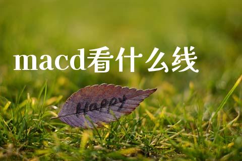 macd看什么线_https://wap.jnlaobingbanjia.com_股市行情_第1张
