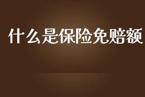 什么是保险免赔额_https://wap.jnlaobingbanjia.com_基金分析_第1张