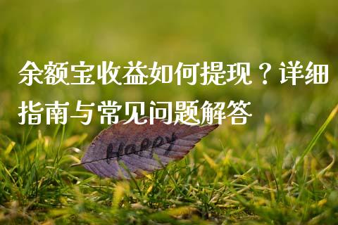 余额宝收益如何提现？详细指南与常见问题解答_https://wap.jnlaobingbanjia.com_财务管理_第1张