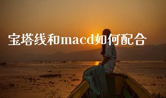 宝塔线和macd如何配合_https://wap.jnlaobingbanjia.com_财经资讯_第1张