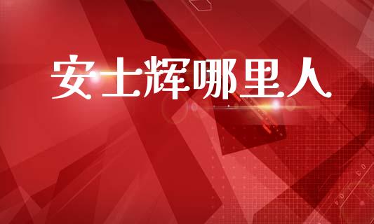 安士辉哪里人_https://wap.jnlaobingbanjia.com_财经资讯_第1张