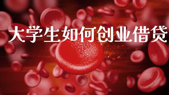 大学生如何创业借贷_https://wap.jnlaobingbanjia.com_证券公告_第1张
