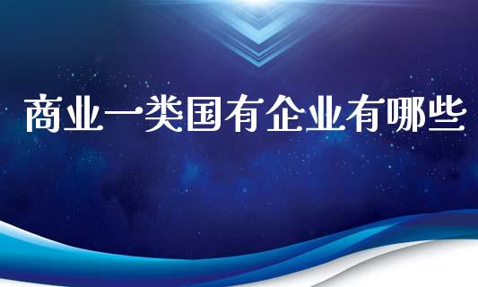 商业一类国有企业有哪些_https://wap.jnlaobingbanjia.com_财务管理_第1张