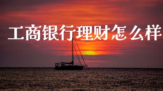 工商银行理财怎么样_https://wap.jnlaobingbanjia.com_财经资讯_第1张