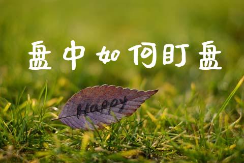 盘中如何盯盘_https://wap.jnlaobingbanjia.com_基金分析_第1张