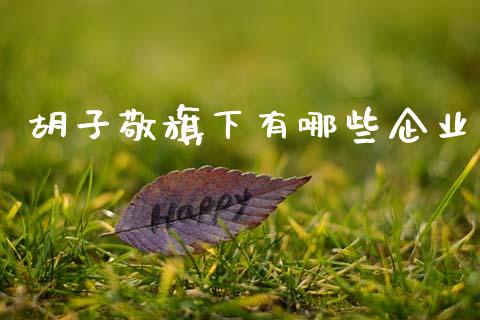 胡子敬旗下有哪些企业_https://wap.jnlaobingbanjia.com_股市行情_第1张