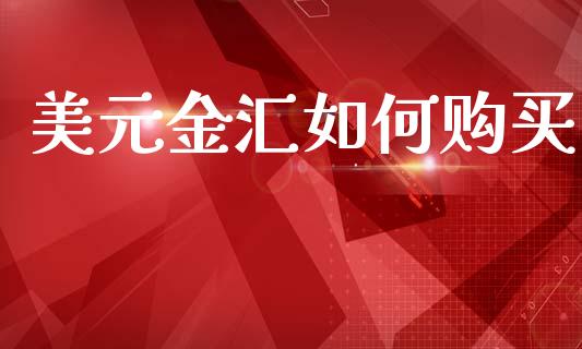 美元金汇如何购买_https://wap.jnlaobingbanjia.com_基金分析_第1张