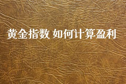 黄金指数 如何计算盈利_https://wap.jnlaobingbanjia.com_财务管理_第1张