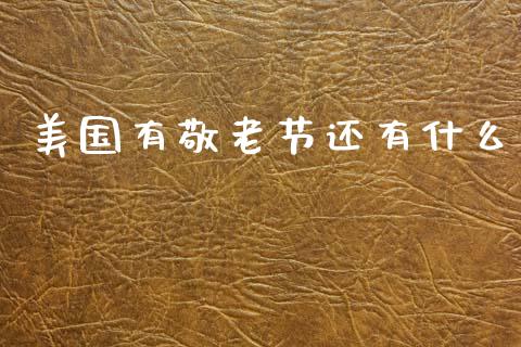 美国有敬老节还有什么_https://wap.jnlaobingbanjia.com_证券公告_第1张
