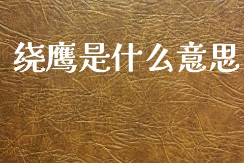 绕鹰是什么意思_https://wap.jnlaobingbanjia.com_基金分析_第1张