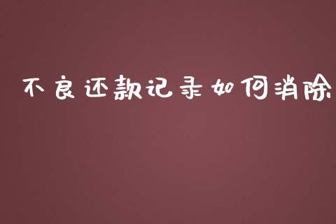 不良还款记录如何消除_https://wap.jnlaobingbanjia.com_证券公告_第1张