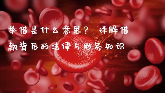 举借是什么意思？ 详解借款背后的法律与财务知识_https://wap.jnlaobingbanjia.com_股市行情_第1张