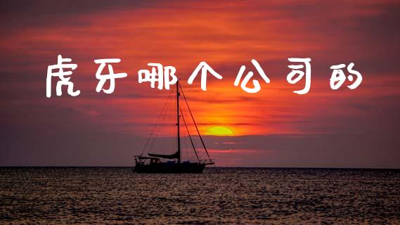虎牙哪个公司的_https://wap.jnlaobingbanjia.com_财务管理_第1张