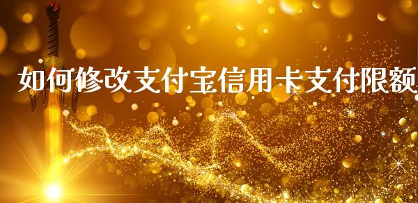 如何修改支付宝信用卡支付限额_https://wap.jnlaobingbanjia.com_财务管理_第1张