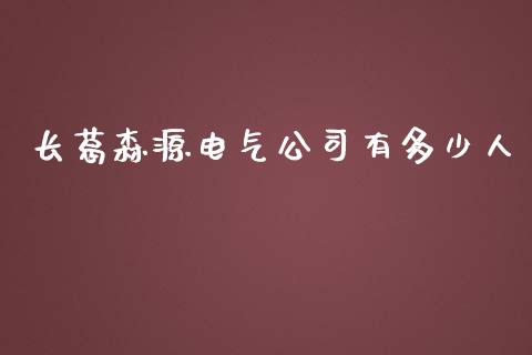 长葛森源电气公司有多少人_https://wap.jnlaobingbanjia.com_财经资讯_第1张