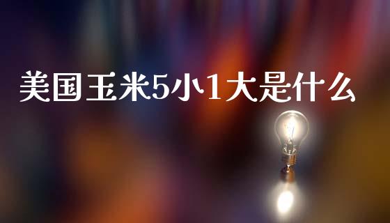 美国玉米5小1大是什么_https://wap.jnlaobingbanjia.com_证券公告_第1张