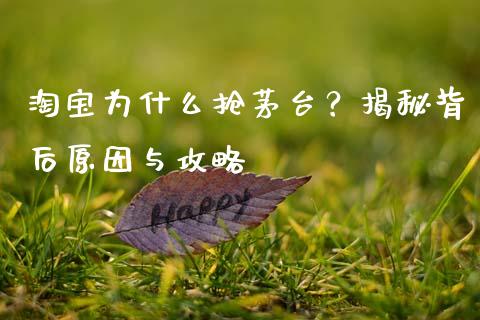 淘宝为什么抢茅台？揭秘背后原因与攻略_https://wap.jnlaobingbanjia.com_基金分析_第1张