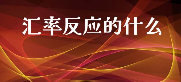 汇率反应的什么_https://wap.jnlaobingbanjia.com_基金分析_第1张