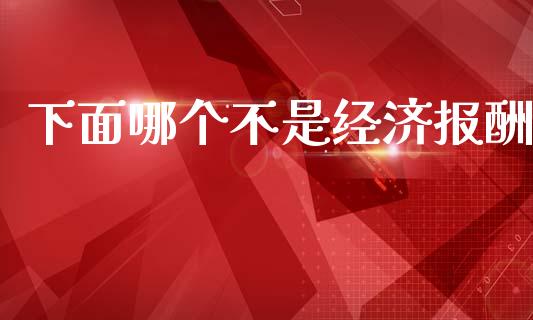 下面哪个不是经济报酬_https://wap.jnlaobingbanjia.com_财务管理_第1张