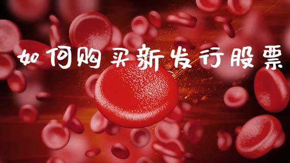 如何购买新发行股票_https://wap.jnlaobingbanjia.com_股市行情_第1张