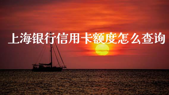 上海银行信用卡额度怎么查询_https://wap.jnlaobingbanjia.com_股市行情_第1张