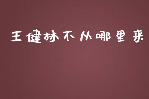 王健林不从哪里来_https://wap.jnlaobingbanjia.com_财经资讯_第1张
