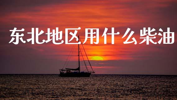东北地区用什么柴油_https://wap.jnlaobingbanjia.com_基金分析_第1张