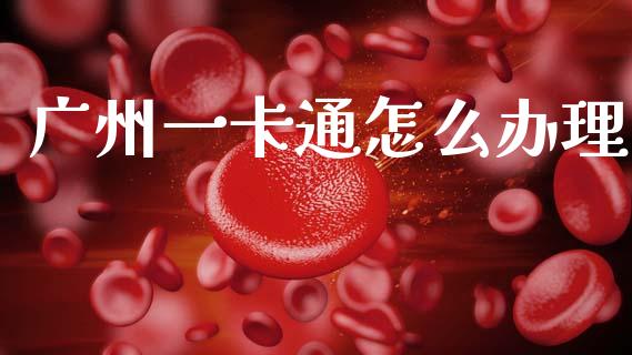 广州一卡通怎么办理_https://wap.jnlaobingbanjia.com_基金分析_第1张