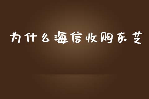 为什么海信收购东芝_https://wap.jnlaobingbanjia.com_金融理财_第1张