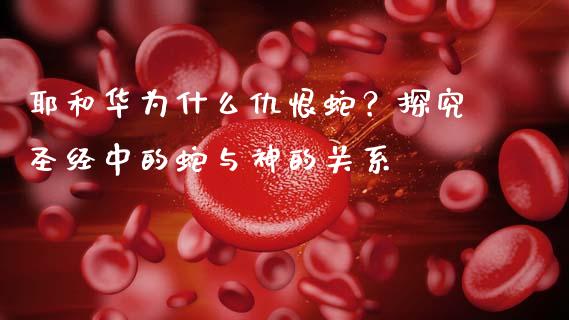 耶和华为什么仇恨蛇？探究圣经中的蛇与神的关系_https://wap.jnlaobingbanjia.com_证券公告_第1张