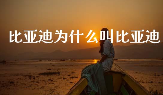 比亚迪为什么叫比亚迪_https://wap.jnlaobingbanjia.com_股市行情_第1张