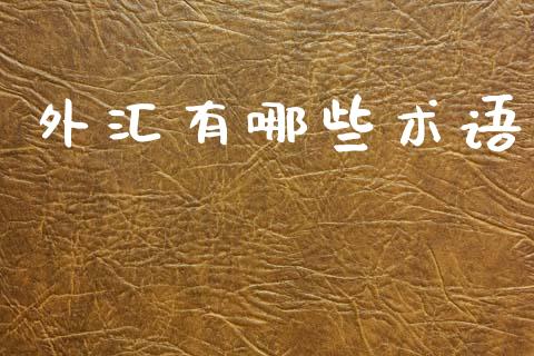 外汇有哪些术语_https://wap.jnlaobingbanjia.com_财经资讯_第1张
