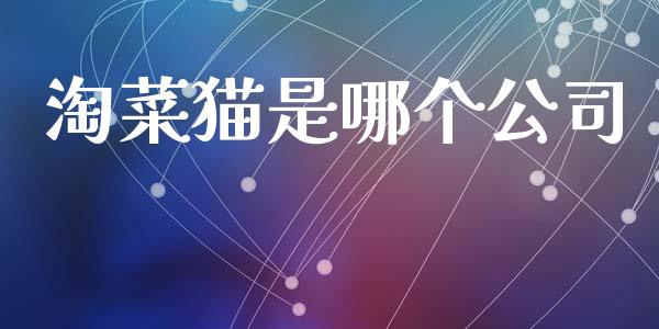 淘菜猫是哪个公司_https://wap.jnlaobingbanjia.com_金融理财_第1张