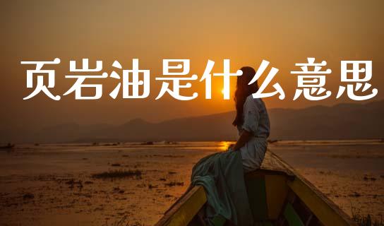 页岩油是什么意思_https://wap.jnlaobingbanjia.com_财经资讯_第1张