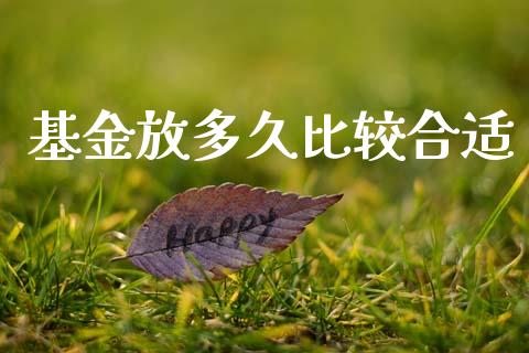 基金放多久比较合适_https://wap.jnlaobingbanjia.com_证券公告_第1张