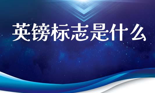 英镑标志是什么_https://wap.jnlaobingbanjia.com_金融理财_第1张