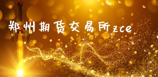 郑州期货交易所zce_https://wap.jnlaobingbanjia.com_证券公告_第1张